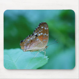 Mooie Danaus Plexippus Butterfly op Leaf. Muismat