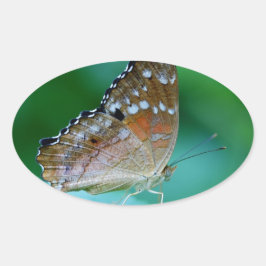 Mooie Danaus Plexippus Butterfly op Leaf. Ovale Sticker