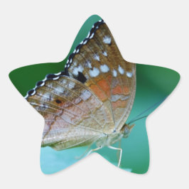Mooie Danaus Plexippus Butterfly op Leaf. Ster Sticker