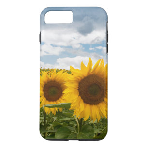 mooie de zomerzonnebloemen iPhone 8 plus / 7 plus hoesje