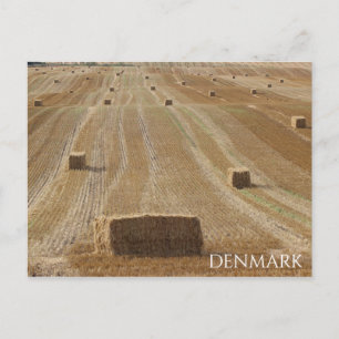 Mooie Deense landschapspostkaart! Briefkaart