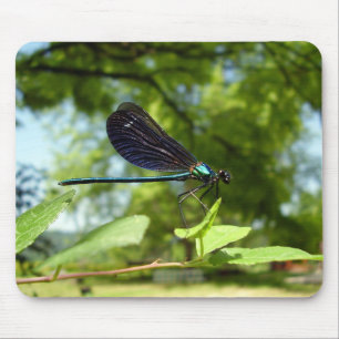 Mooie Demoiselle Mouse Mat Muismat