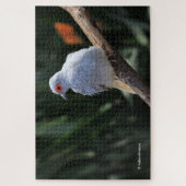 Mooie Diamond Dove in de Spotlight Legpuzzel (Verticaal)
