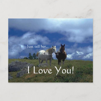 Mooie Dierlijke Kaarten Feestdagenkaart