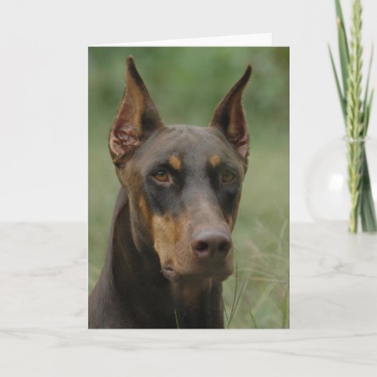 Mooie Doberman Kaart (Voorkant)