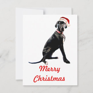 Mooie Dog Argentaar in Kerstman Hoed  Notitiekaartje
