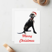 Mooie Dog Argentaar in Kerstmannenhoed Notitiekaartje (Voorkant / Achterkant in situ)