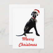 Mooie Dog Argentaar in Kerstmannenhoed Notitiekaartje (Voorkant / Achterkant)