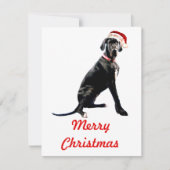 Mooie Dog Argenteus in Kerstman Hoed Notitiekaartje (Voorkant)