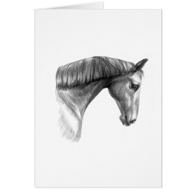  mooie donkere paard (Voorkant)