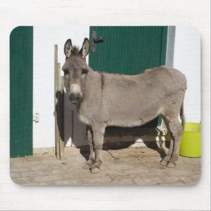 Mooie Donkey Muismat