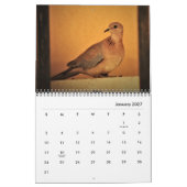Mooie Doves-agenda Kalender (Jan 2027)