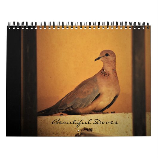 Mooie Doves-agenda Kalender (Hoes)