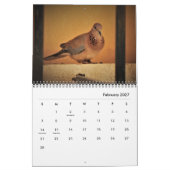Mooie Doves-agenda Kalender (Feb 2027)