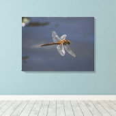Mooie Dragonfly close-up over water Canvas Afdruk (Insitu (Houten vloer))