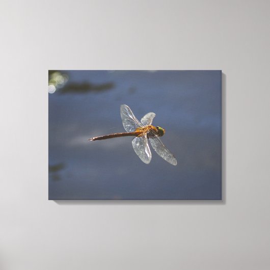 Mooie Dragonfly close-up over water Canvas Afdruk (Voorkant)