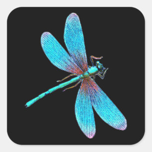 Mooie Dragonfly met Bright Blue Turquoise Vierkante Sticker