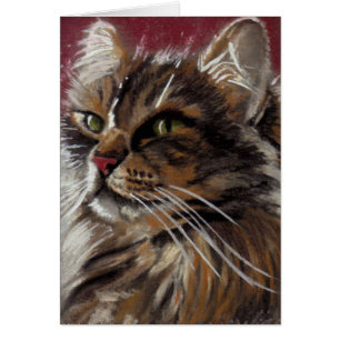 Mooie dromer - Maine Coon Cat Card