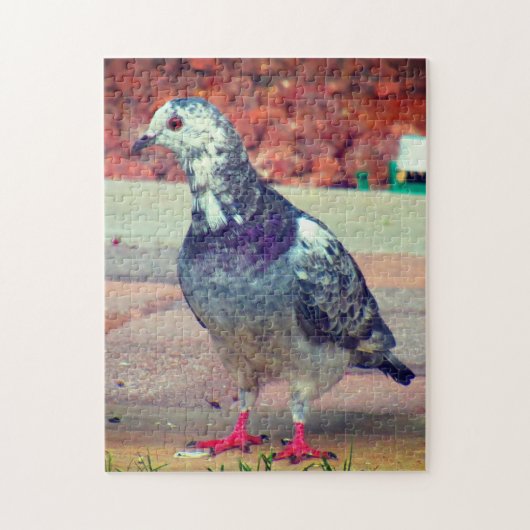 Mooie duif legpuzzel (Verticaal)