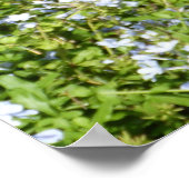 Mooie Duitse herderhond Poster (Hoek)