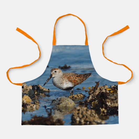 Mooie Dunlin Sandpiper Goes Solo op het strand Schort (Voorkant)