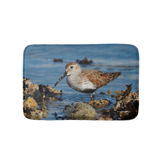 Mooie Dunlin Shorebird bij het strand Badmat (Voorkant)