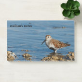 Mooie Dunlin Shorebird Sandpiper gaat solo Post-it® Notes (Kantoor)