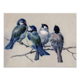 Mooie Dusty Blue Grey Birds op een vertakking Foto Afdruk