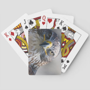 Mooie Eagle Deck van speelkaarten