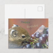Mooie Eekhoorn Gelukkige Verjaardag Ansichtkaart Briefkaart (Voorkant / Achterkant)