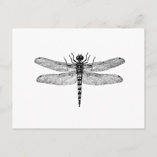 Mooie & Eenvoudige Vintage Libel Briefkaart (Voorkant)