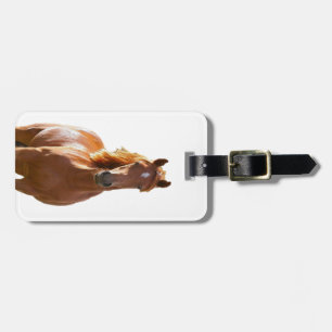 Mooie Elegant Brown Horse Bagagelabel