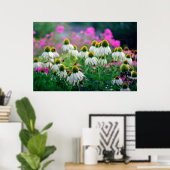 Mooie Elegant White Coneflowers Poster (Thuiskantoor)
