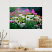 Mooie Elegant White Coneflowers Poster (Keuken)