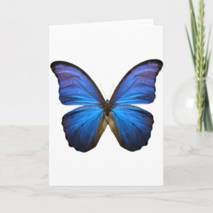 Mooie elektrische blauwe vlinder kaart