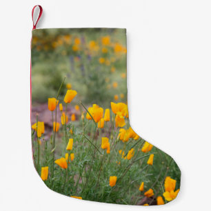 mooie en geurige wilde bloemen die in tucs groeien kleine kerstsok