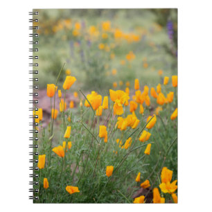 mooie en geurige wilde bloemen die in tucs groeien notitieboek