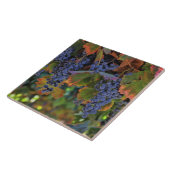 Mooie en kleurrijke kunstkunst Tegel Tegeltje (Zijkant)