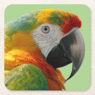 Mooie en kleurrijke Macaw Parrot Vierkante Kartonnen Onderzetter