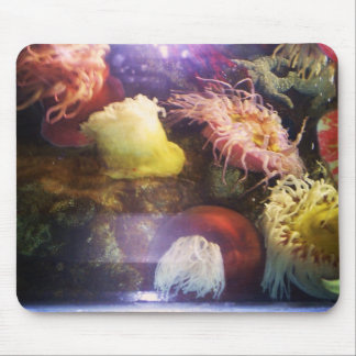 Mooie en kleurrijke mousepad van zacht koraal muismat