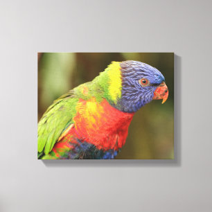 Mooie en kleurrijke papegaai canvas afdruk