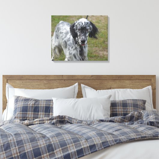 Mooie Engelse Setter Dog Canvas Afdruk (Insitu (Slaapkamer))