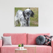 Mooie Engelse Setter Dog Canvas Afdruk (Insitu (Woonkamer))
