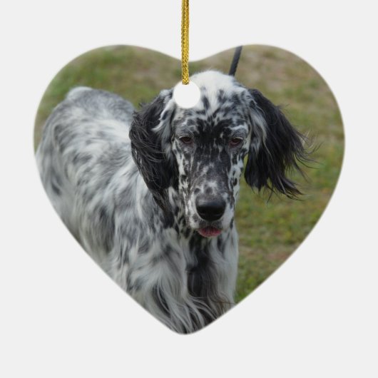 Mooie Engelse Setter Dog Keramisch Ornament (Achterkant)