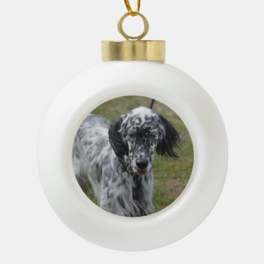 Mooie Engelse Setter Dog Keramische Bal Ornament (Voorkant)