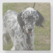 Mooie Engelse Setter Dog Stenen Onderzetter (Voorkant)