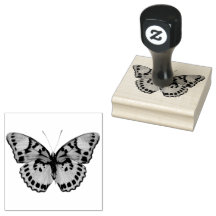 Mooie Fancy vlinder II