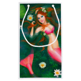 Mooie Fantasy mermaid Klein Cadeauzakje
