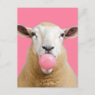 Mooie Fantasy Witte Schaap Kauwen Bubble Gum Briefkaart