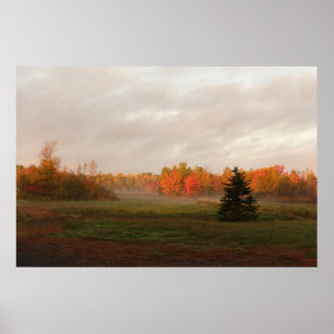 Mooie Farmland Misty Morning Serenity Poster